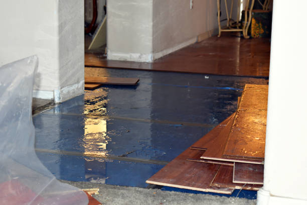 Professional Water Damage Restoration technician working in Rutland, SD